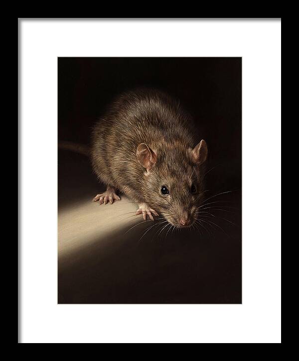 Realistic Rat Portrait