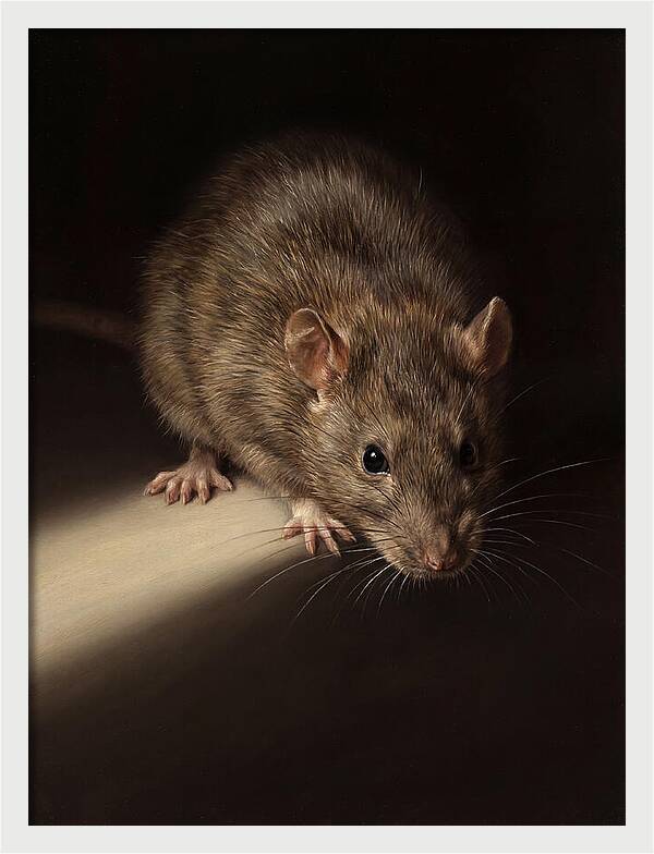 Realistic Rat Portrait