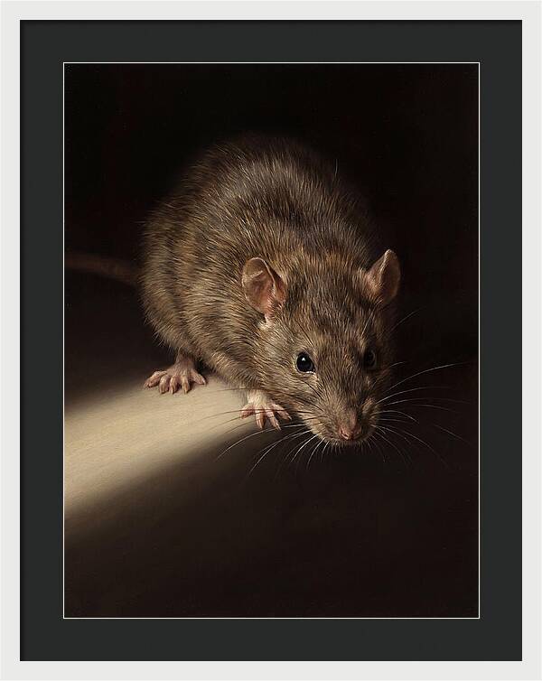 Realistic Rat Portrait