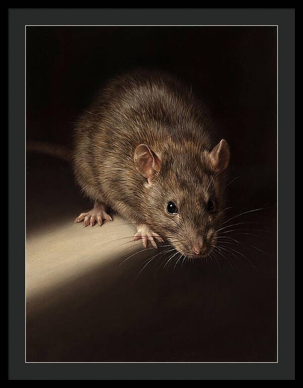 Realistic Rat Portrait