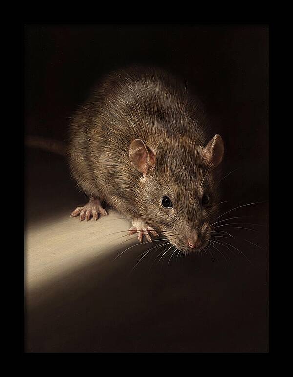Realistic Rat Portrait