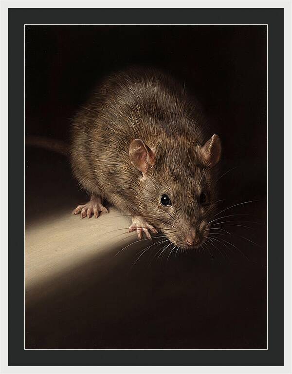 Realistic Rat Portrait