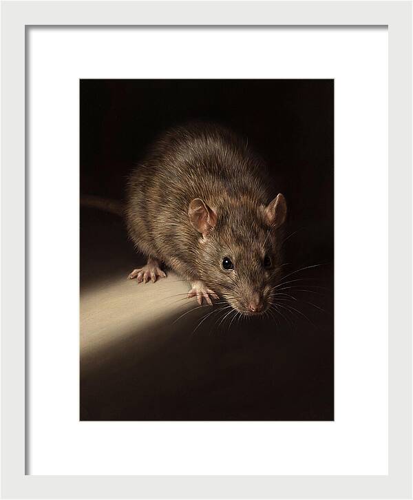 Realistic Rat Portrait