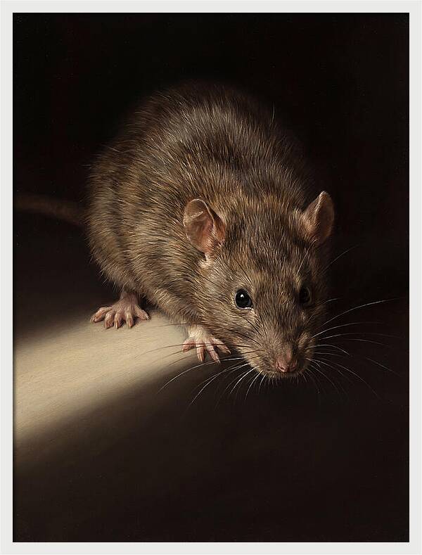 Realistic Rat Portrait