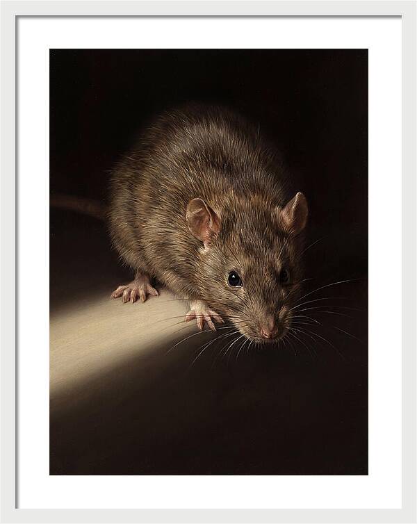Realistic Rat Portrait