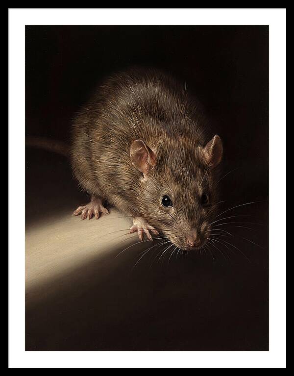 Realistic Rat Portrait