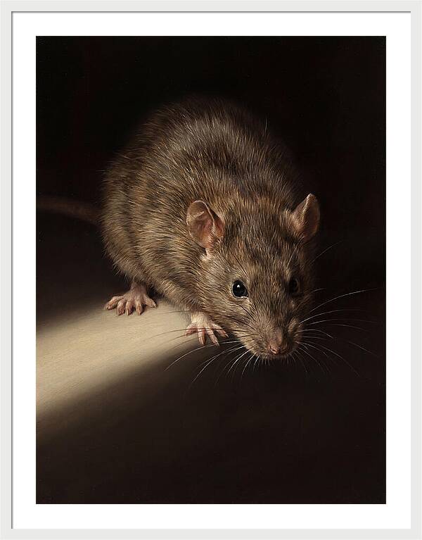 Realistic Rat Portrait