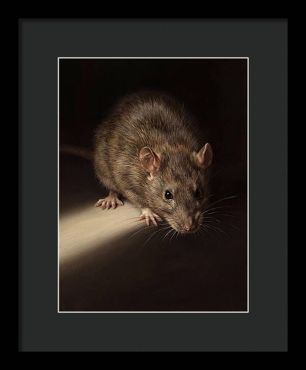 Realistic Rat Portrait