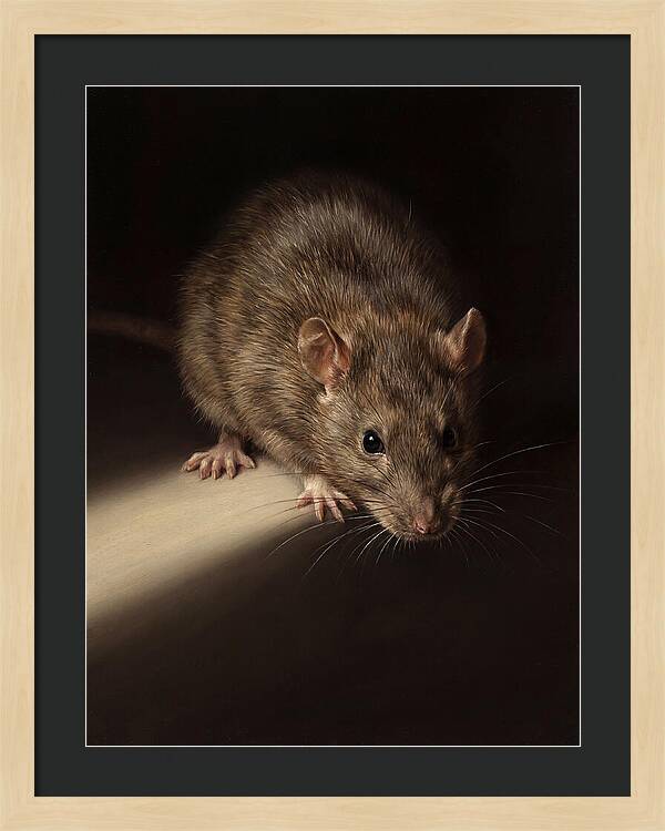 Realistic Rat Portrait