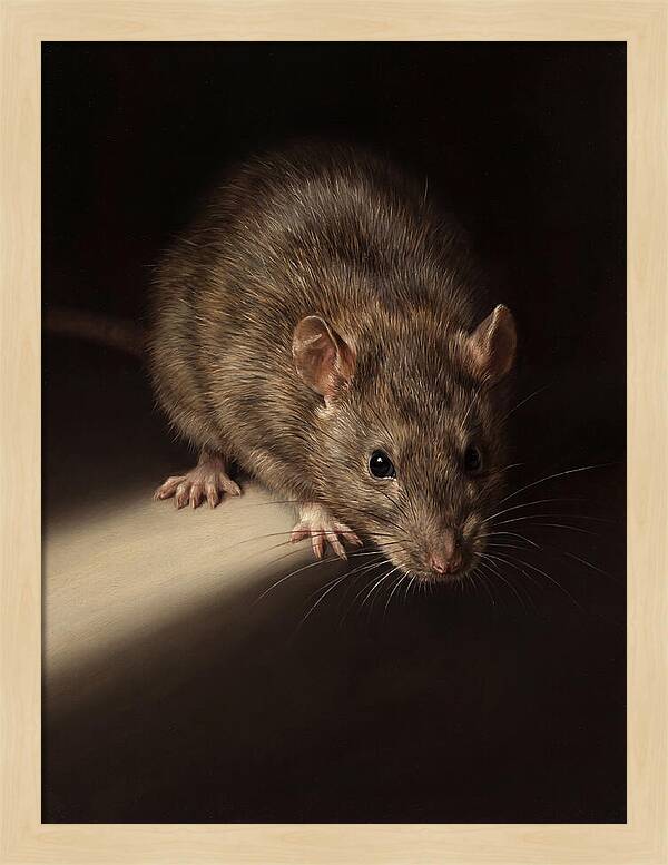 Realistic Rat Portrait