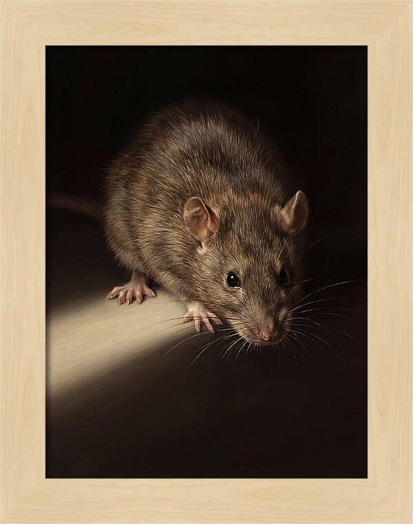 Realistic Rat Portrait