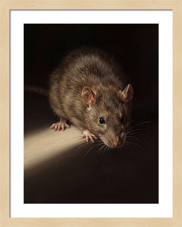 Realistic Rat Portrait