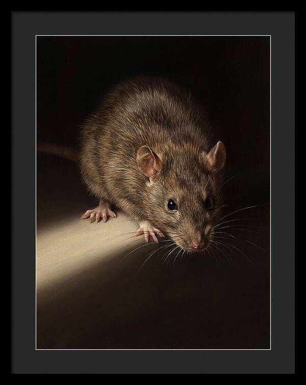 Realistic Rat Portrait