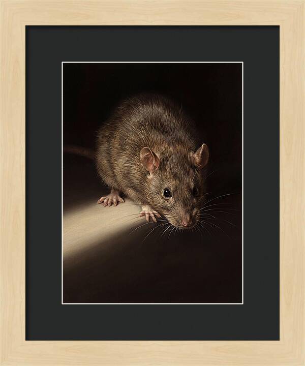 Realistic Rat Portrait