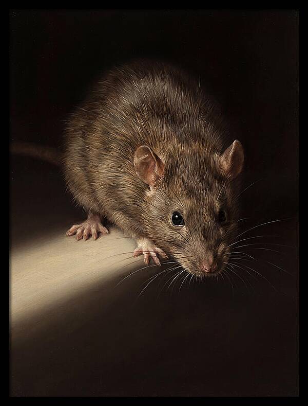 Realistic Rat Portrait