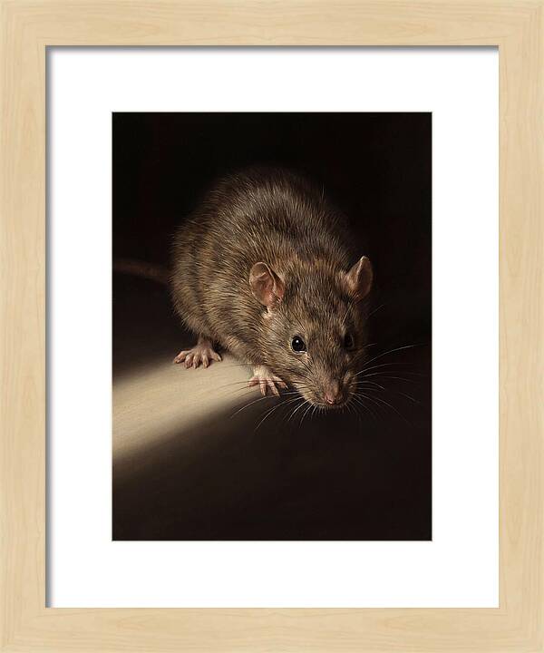 Realistic Rat Portrait