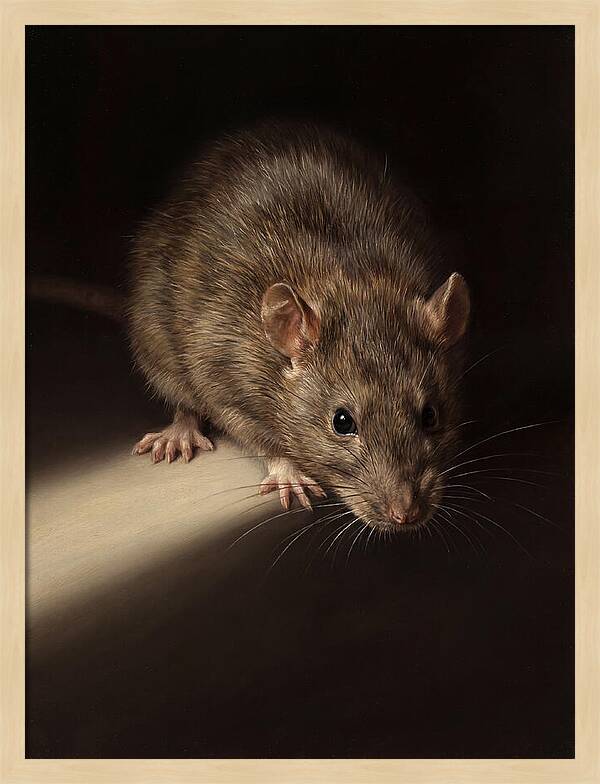 Realistic Rat Portrait