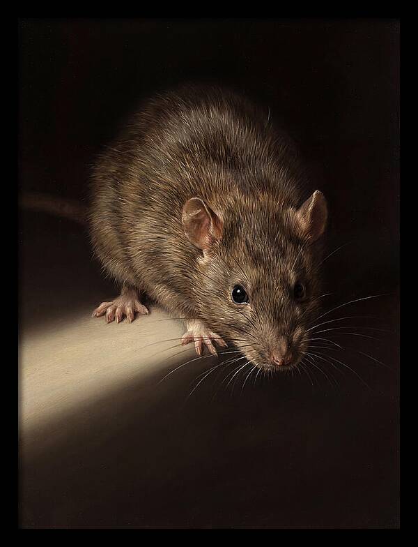 Realistic Rat Portrait