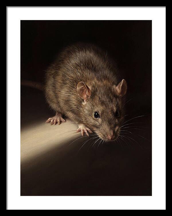 Realistic Rat Portrait