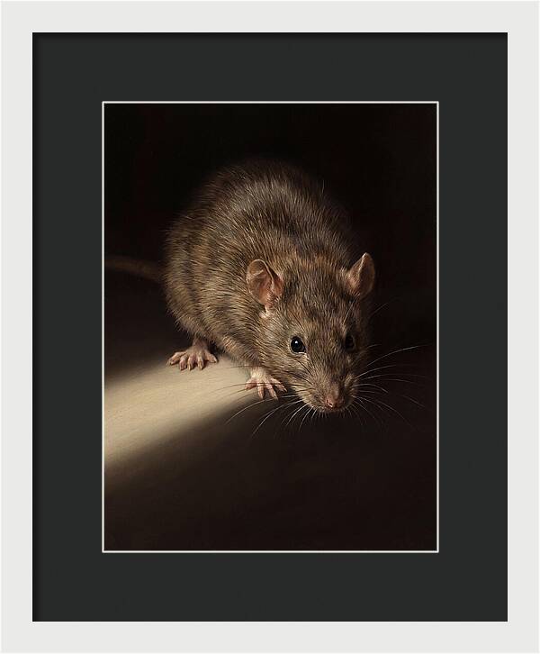 Realistic Rat Portrait
