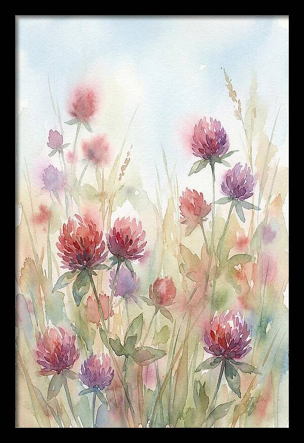 Red Clover Blossoms In Wild Grassland