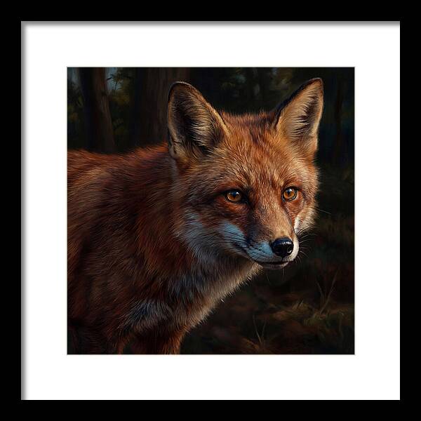 Red Fox In Natural Habitat