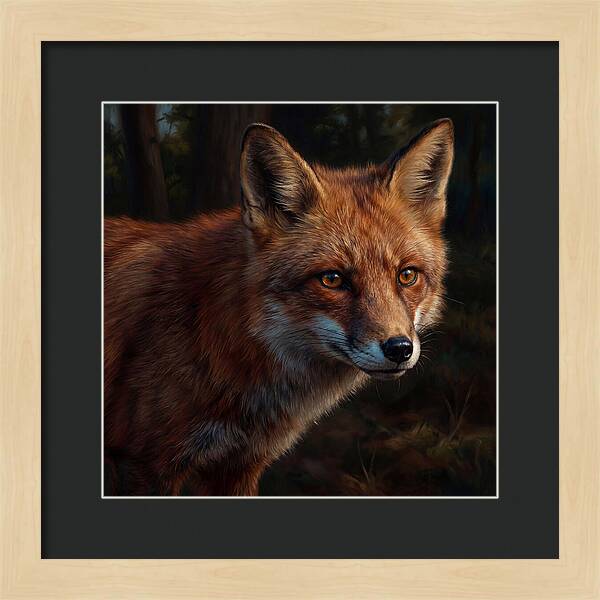 Red Fox In Natural Habitat