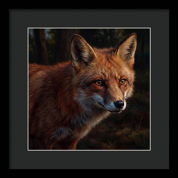 Red Fox In Natural Habitat