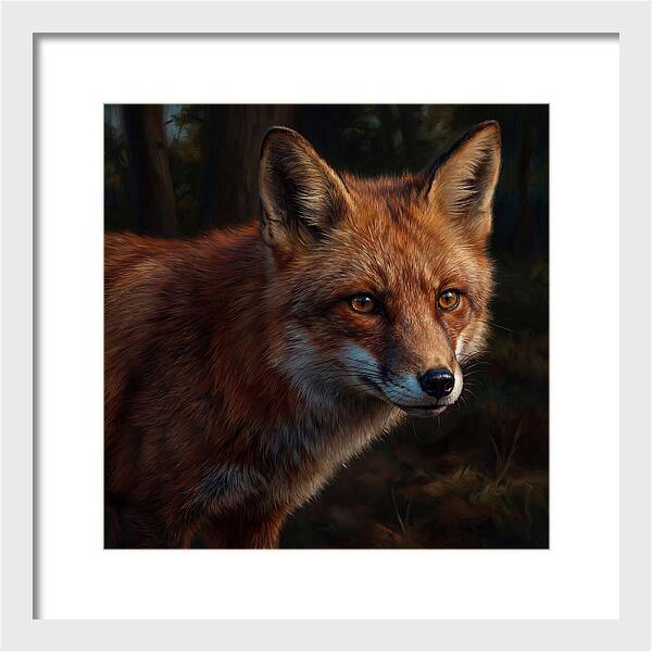 Red Fox In Natural Habitat