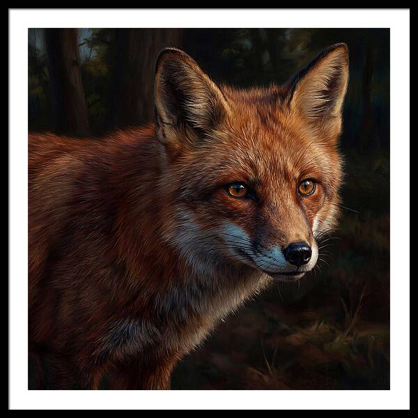 Red Fox In Natural Habitat