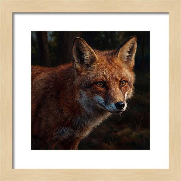 Red Fox In Natural Habitat