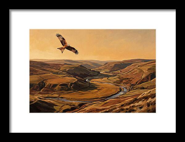 Red Kite Soaring Above Valleys