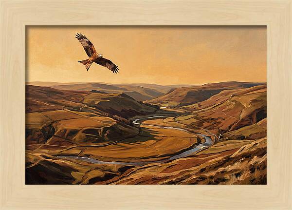 Red Kite Soaring Above Valleys
