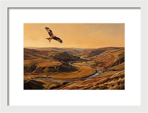 Red Kite Soaring Above Valleys