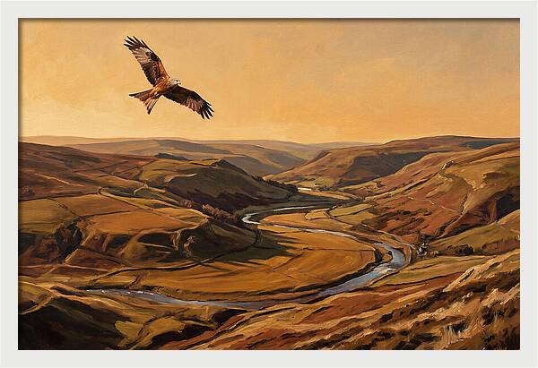 Red Kite Soaring Above Valleys