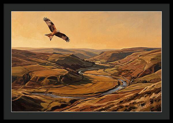 Red Kite Soaring Above Valleys