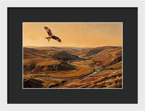 Red Kite Soaring Above Valleys