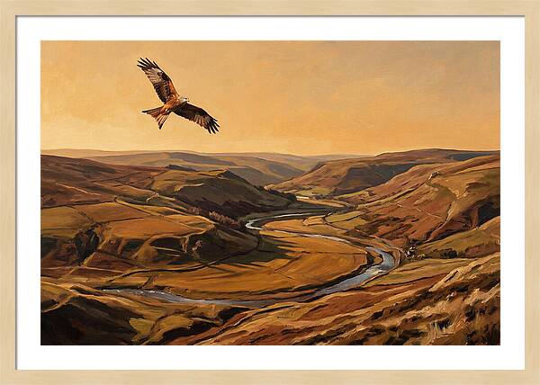 Red Kite Soaring Above Valleys