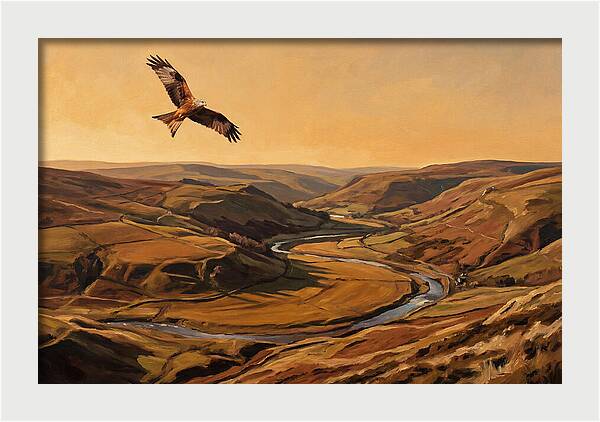 Red Kite Soaring Above Valleys