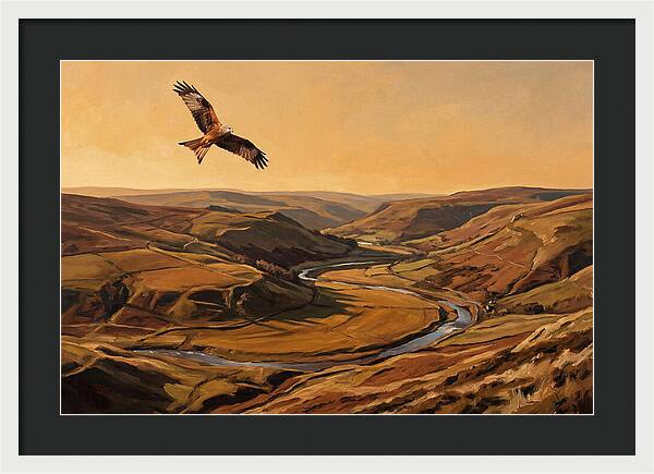 Red Kite Soaring Above Valleys