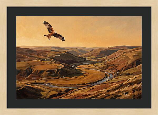 Red Kite Soaring Above Valleys
