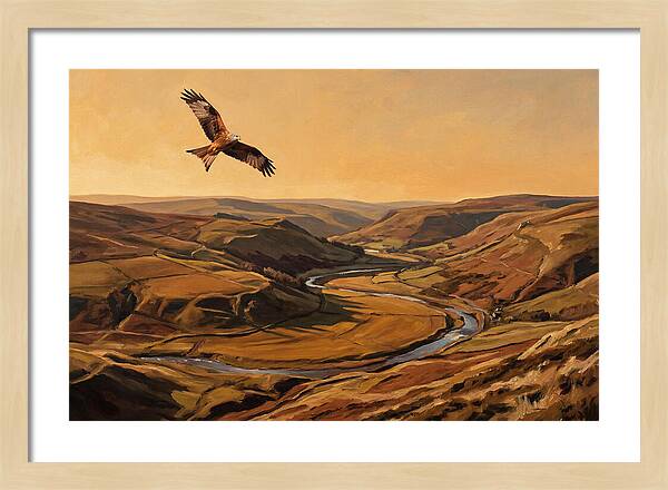 Red Kite Soaring Above Valleys