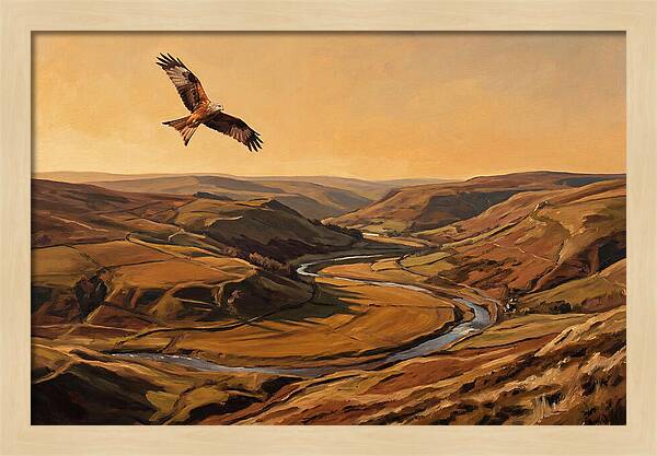 Red Kite Soaring Above Valleys