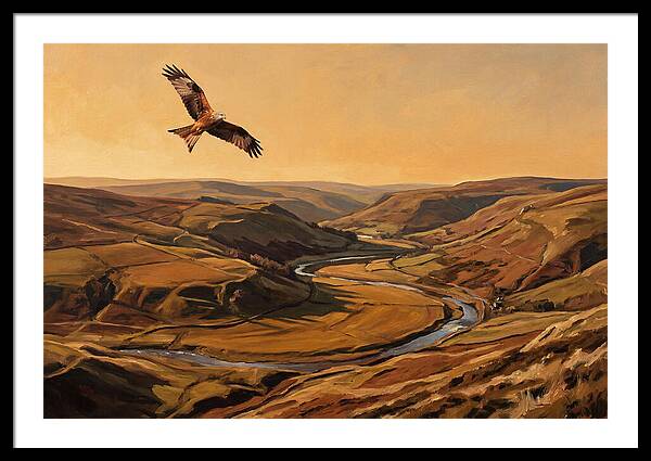 Red Kite Soaring Above Valleys