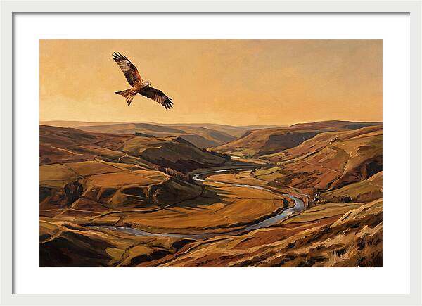 Red Kite Soaring Above Valleys
