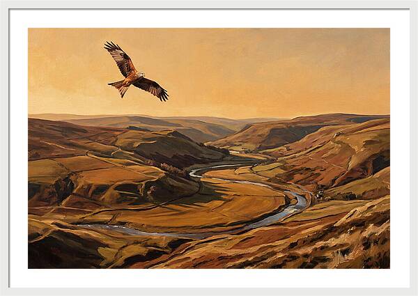 Red Kite Soaring Above Valleys