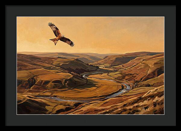 Red Kite Soaring Above Valleys