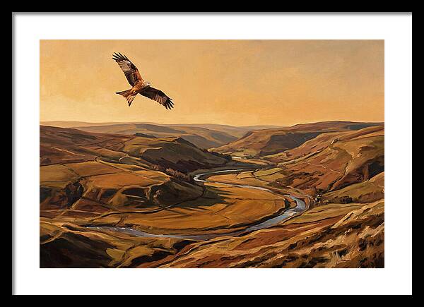 Red Kite Soaring Above Valleys