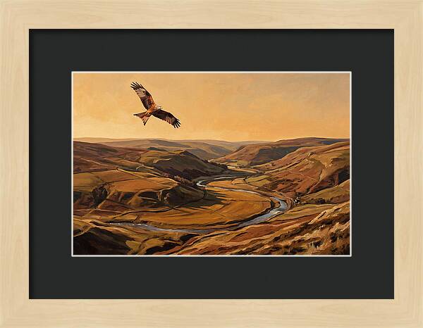 Red Kite Soaring Above Valleys