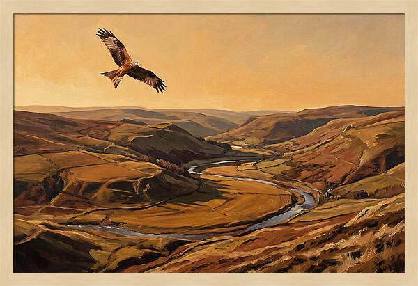 Red Kite Soaring Above Valleys